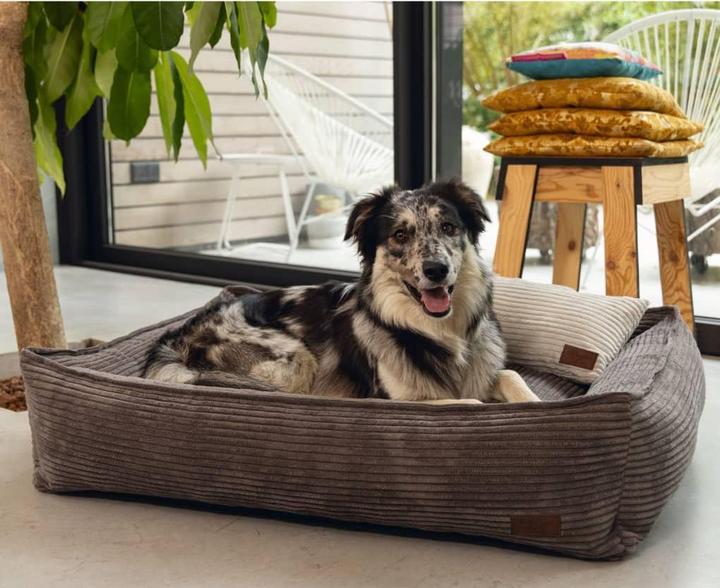 Produktbild Designed by Lotte Ribbed (Hund)
