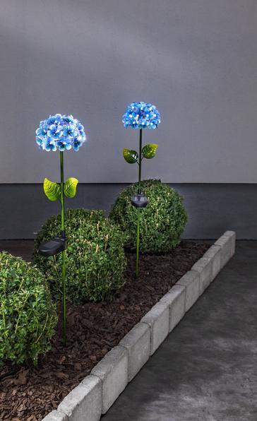 Actual product image Star Trading Hortensia (IP44)