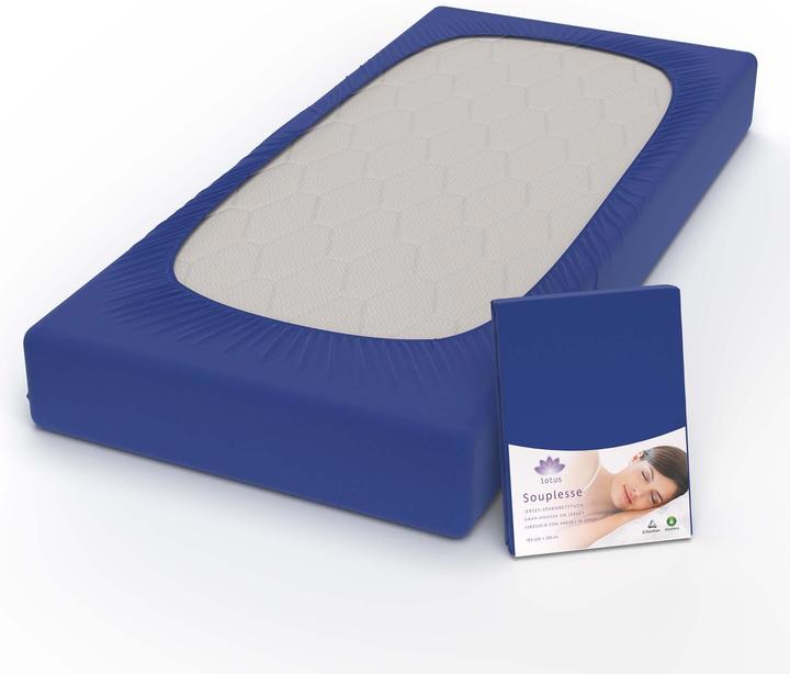 Produktbild Lotus Bettwaren Jersey Fixleintuch Souplesse (140 x 200 cm, 160 x 200 cm)