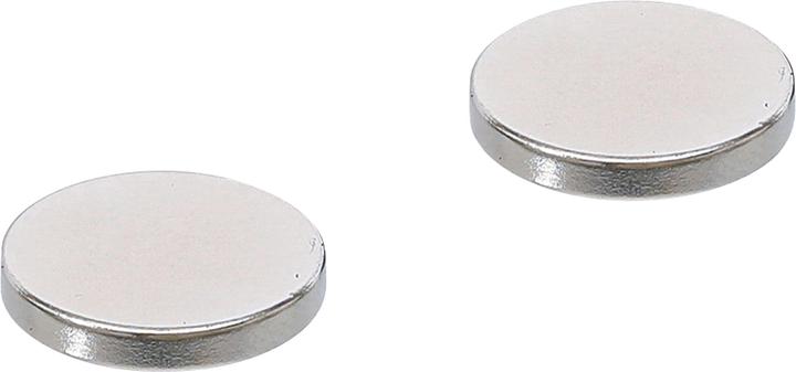 Actual product image BGS Magnet set (2 x)