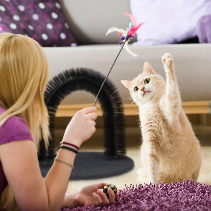 Produktbild Relaxdays Enthaarungsbogen (Katze)