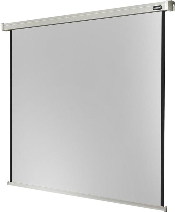 Immagine prodotto Celexon Motore professionale, schermo, 1:1 (131.10", 1:1)
