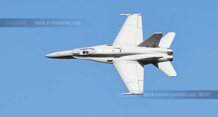 Produktbild Freewing F/A-18C Hornet grey PNP 90mm 12B Jet EDF (Jet)