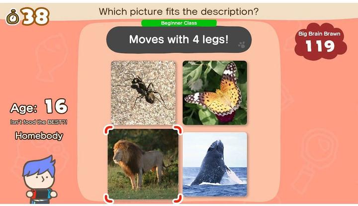 Actual product image Nintendo Big Brain Academy: Head to Head (Switch, DE)
