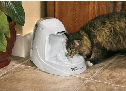 Produktbild PetSafe Platinum (5 l)