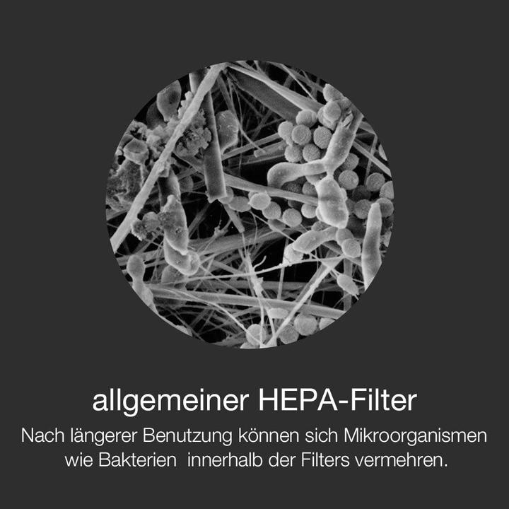 Actual product image Balmuda Humidifier (1 x)