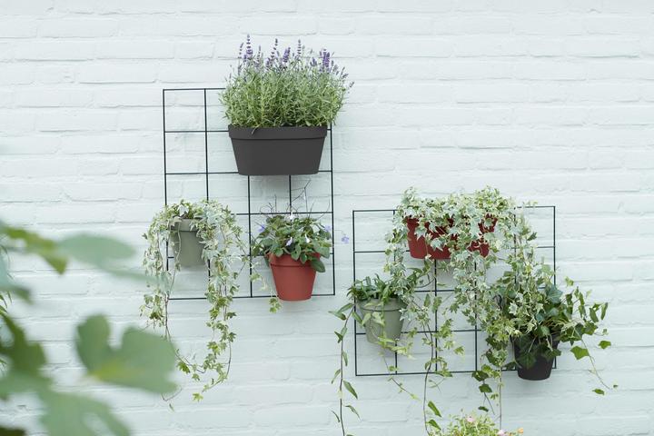 Actual product image Elho Loft Urban Green Wall Plant Pot Single (15 cm)