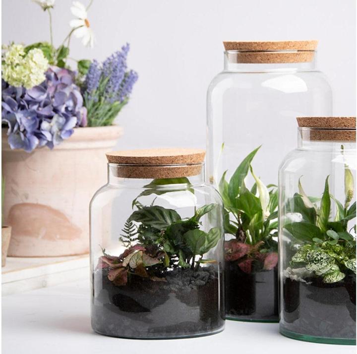 Esschert Design Bouteille pour terrarium S