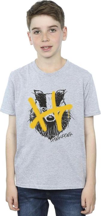 Actual product image Boys Hufflepuff Pop Spray T-Shirt (104)