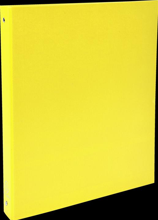 Actual product image Exacompta Ring binders (A4, 40 mm, 160 Piece)
