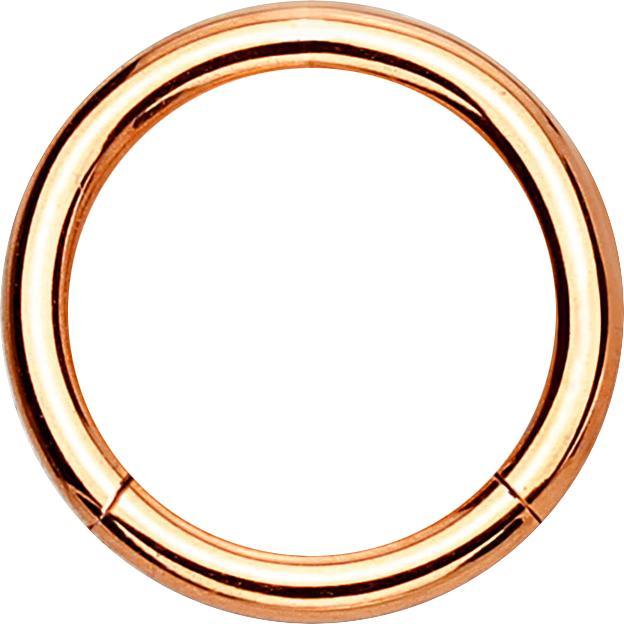 Actual product image Star Piercing Micro segment ring hinged rose gold (Surgical steel 316L)