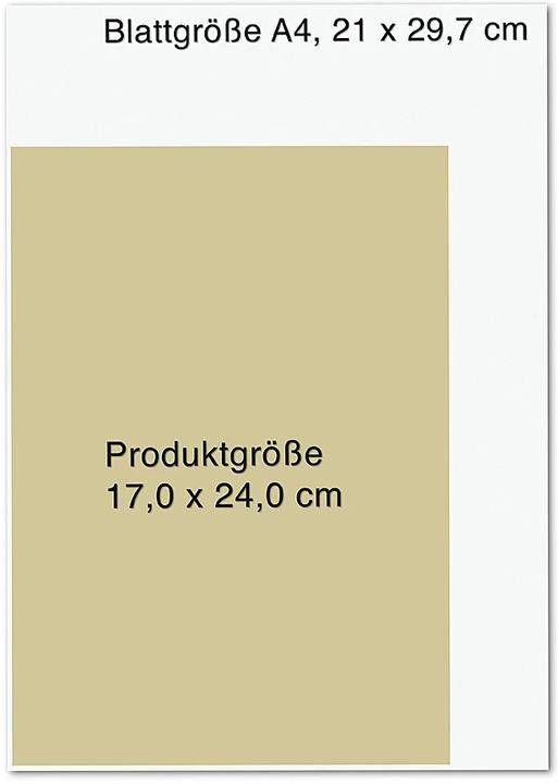 Actual product image Shaolin Spirit (German, Shi Heng Yi, Stefanie Koch, 2023)