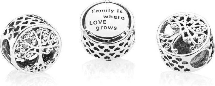 Image du produit Pandora Charm Hommage Familial (Argent)