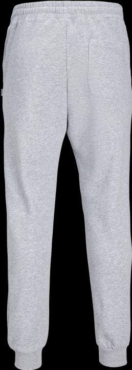 Actual product image Jack & Jones Gordon Bradley Sweat Pants Light Grey (S)