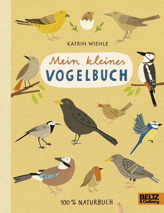 Produktbild Mein kleines Vogelbuch (Deutsch, Katrin Wiehle, 2018)