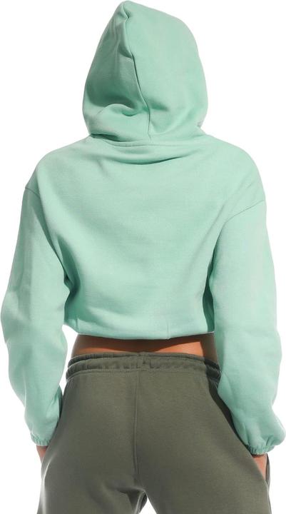 Actual product image Light and Shade Womens/Ladies Cropped Hoodie (L)