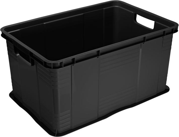 Image du produit Rotho Agilo (59 x 39 x 31 cm, 55 l)