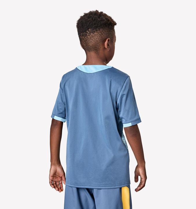 Produktbild Kipsta Kinder Fussball Trikot kurzarm - VIRALTO Kids Roarrr Cheetah blau/grau (14, 15, 16)