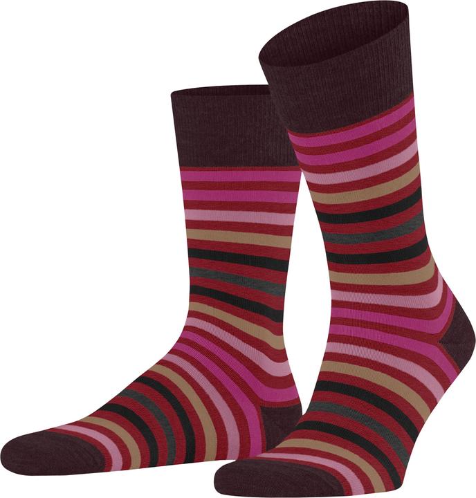 Produktbild Falke Tinted Stripe SO (Einzelpack, 43 - 46)