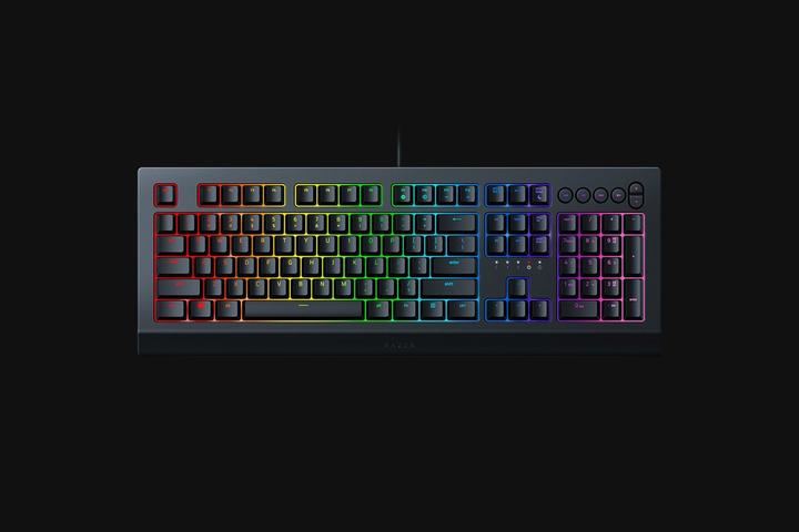 Image du produit Razer Cynosa V2 (ING. Int., Filaire)
