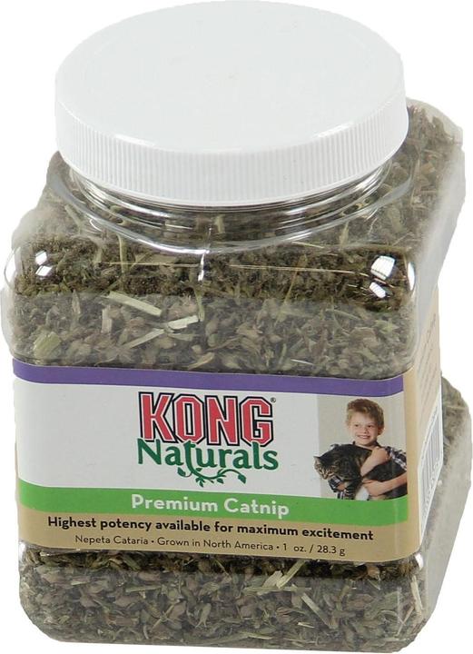 Actual product image KONG Premium CatNip (Catmint toy)