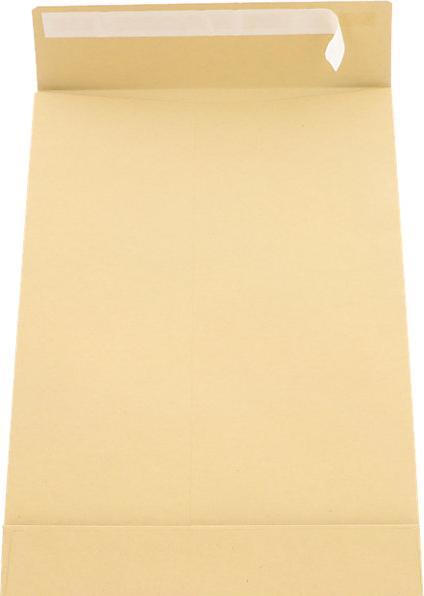 Image du produit kaiserkraft Enveloppe pour DIN A4 (C4, 100 x)