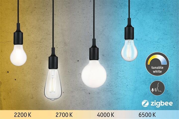 Image du produit Paulmann Lampe à usage général Zigbee (E27, 7 W, 806 lm, 1 x, E)