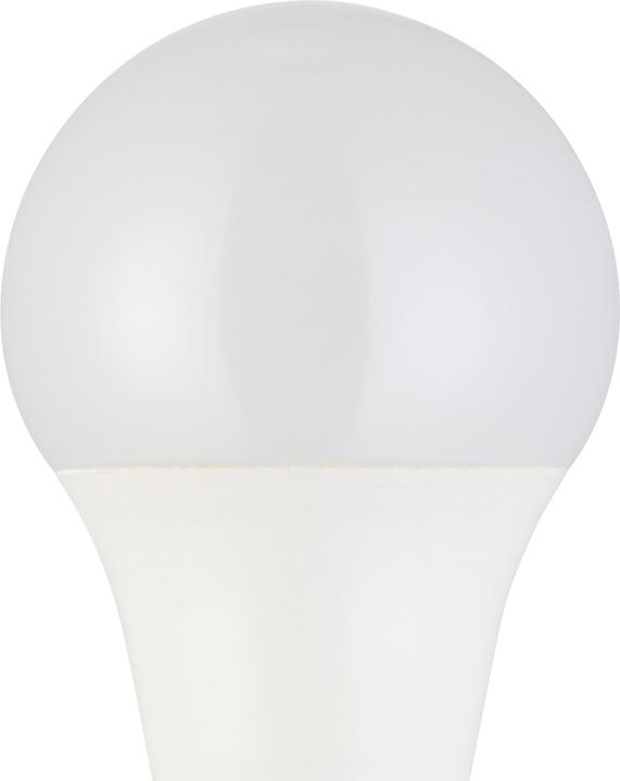 Image du produit EGLO Ampoules LED E27 (E27, 4.90 W, 470 lm, 1 x, D)