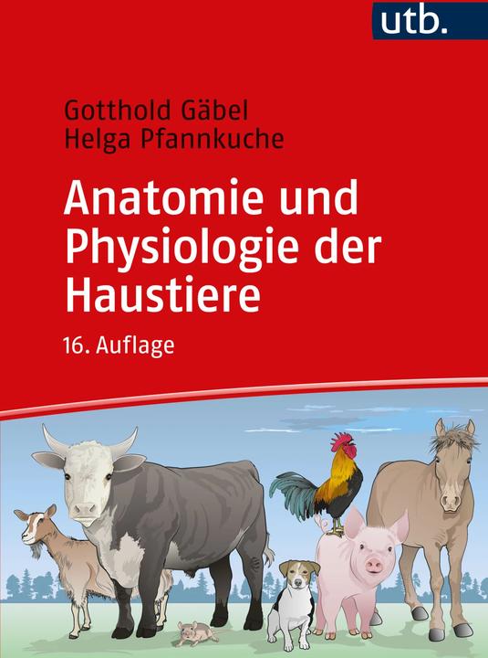 Produktbild Anatomie und Physiologie der Haustiere (Deutsch, Gotthold Gäbel, Helga Pfannkuche, 2024)