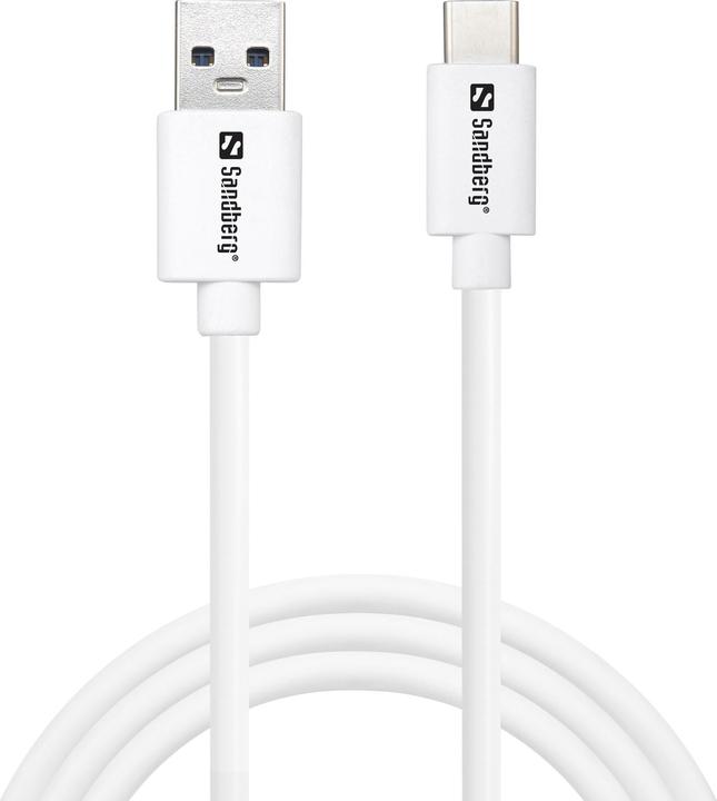 Immagine prodotto Sandberg Cavo USB C (1 m, USB 3.0)