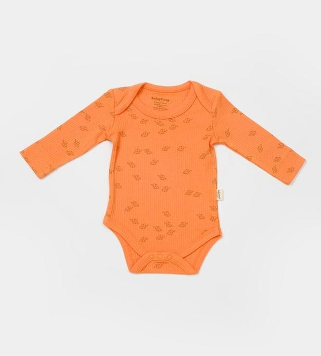 Actual product image BabyCosy 2 Pcs Long Sleeve Body (74)