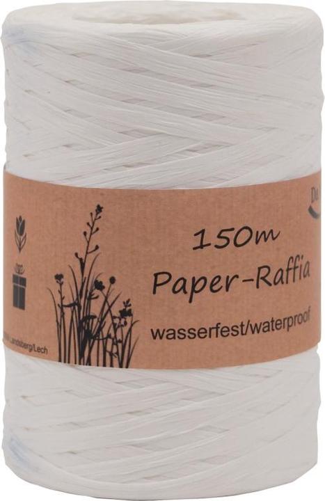 Image du produit Goldina Raphia