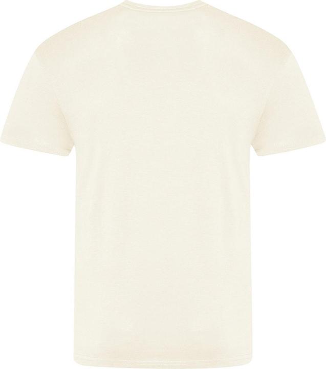 Image du produit Awdis The 100 Tshirt (XL)