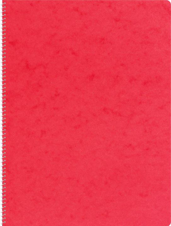 Actual product image Novooo Spiralheft assortiert (A4, Checked)