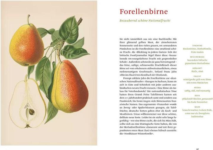 Image du produit Die alten Obstsorten (Allemand, Aveugle Sofia, Bibliothèque d'État de Berlin, 2020)