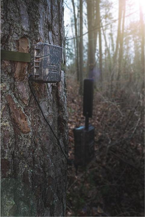 Actual product image Seissiger External battery pack for wildlife cameras