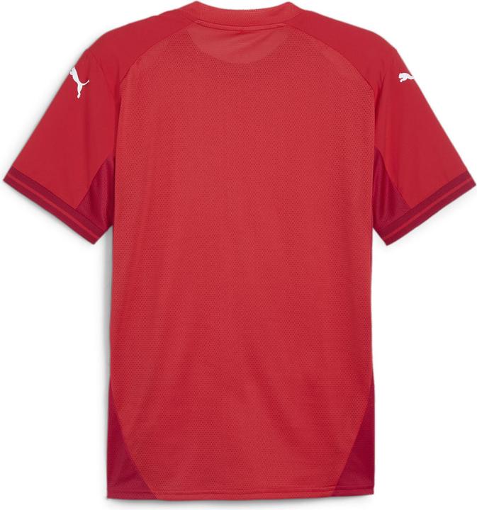 Actual product image Puma teamFINAL Jersey (XL)