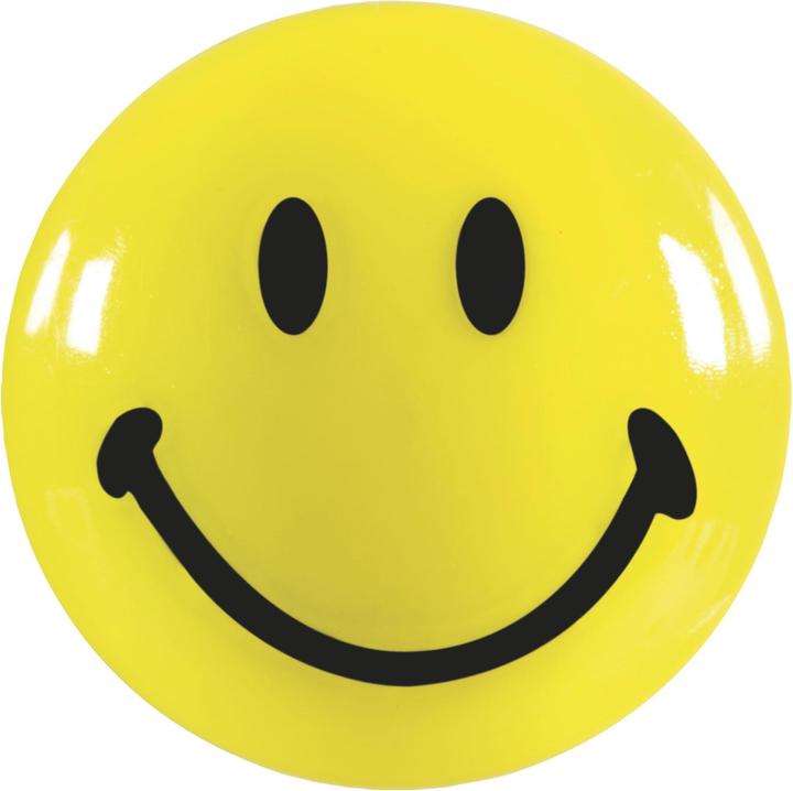 Actual product image Magnetoplan Smiley Magnets (8 x)