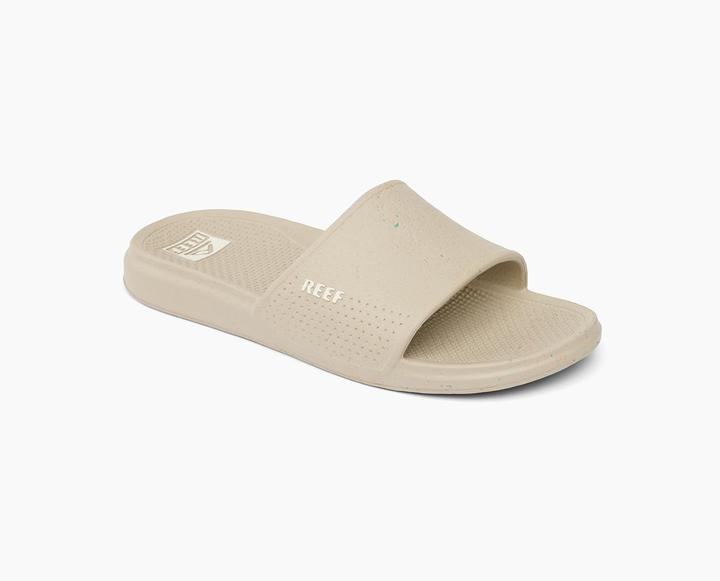 Reef Oasis Slide (43)