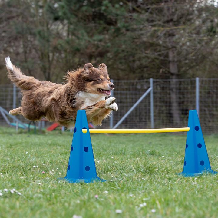 Image du produit Relaxdays Set cônes-barres (Agility)