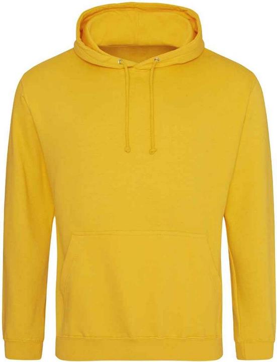 Actual product image Awdis Unisex Adult College Hoodie (L)