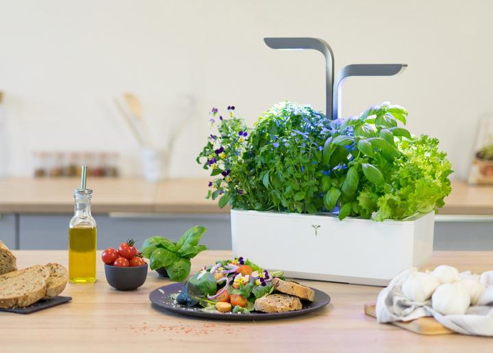 Actual product image Véritable Connect Indoor Garden (18 cm)