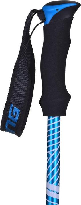 Actual product image Vikingsports Viking Shiva Trekking Poles (135 cm)