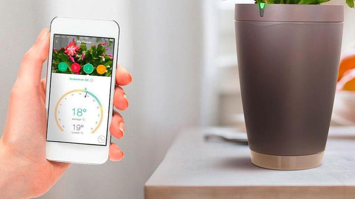 Image du produit Parrot Flower Power Pot – capteur pour plante