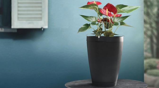 Image du produit Parrot Flower Power Pot – capteur pour plante