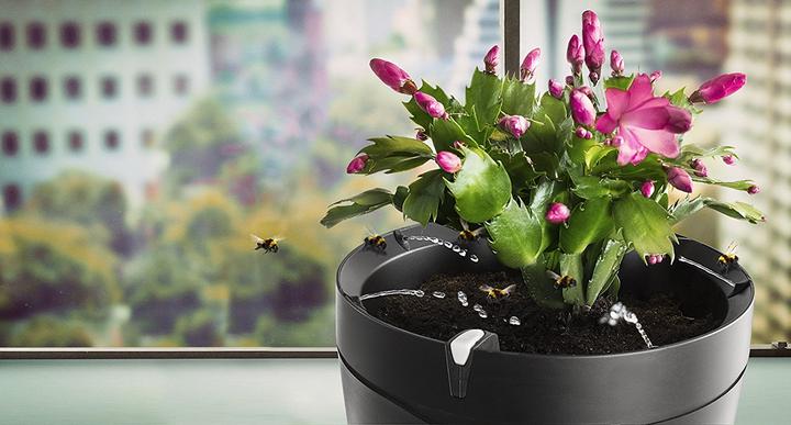 Image du produit Parrot Flower Power Pot – capteur pour plante