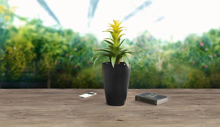 Image du produit Parrot Flower Power Pot – capteur pour plante