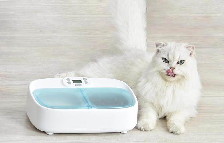 Immagine prodotto Petoneer Mangiatoia per animali domestici a due pasti (0.36 l)