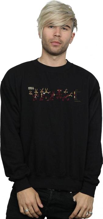 Image du produit Looney Tunes - Sweat WILE E COYOTE COLOUR CODE - Homme (L)