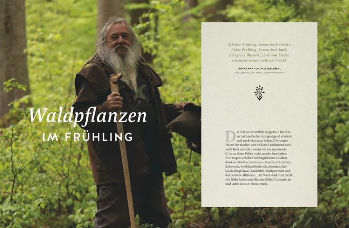 Productafbeelding Meine Kräuter des Waldes (Duits, Wolf-Dieter Storl, 2022)